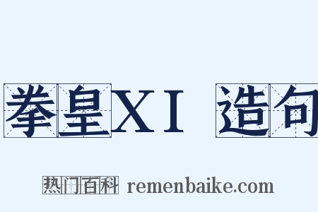 拳皇XI造句是什么意思的图片
